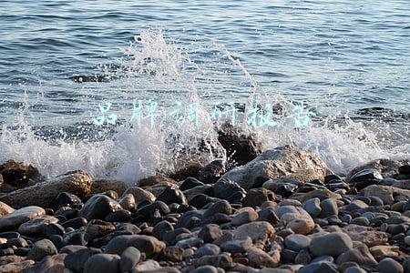 品牌调研报告怎么写(五常大米区域公共品牌建设情况调研报告（2019）)
