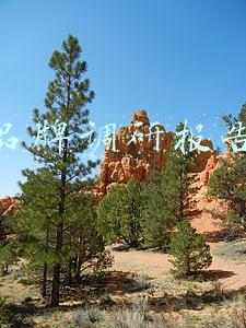 运动品牌调研报告(普华永道：2021年体育行业调查报告)