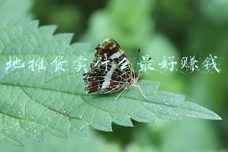 地摊货卖什么最好赚钱