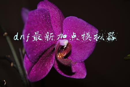 dnf2020加点模拟器(苏州3万外籍人士如何进行核酸检测？可持有效身份证件前往)
