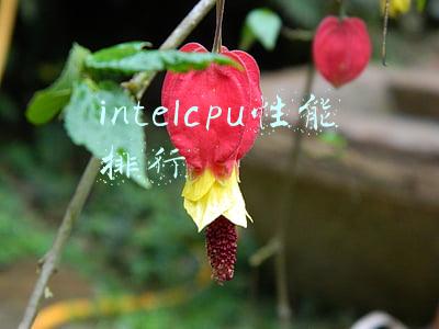 intelcpu性能排行