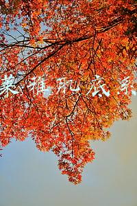 欧莱雅肌底液是哪里生产的(夏可叔叔扒产品——欧莱雅青春密码活颜精华肌底液（推）)
