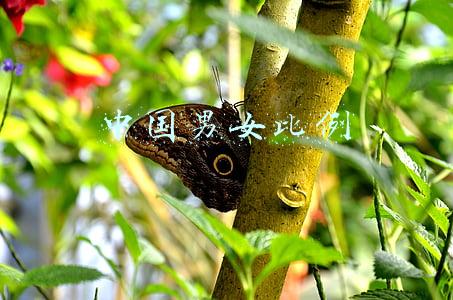 中国男女比例真实数据(刚刚，全国男女比例数据公布)