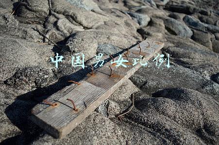 中国男女比例2019数据(中国女性越来越强了！受高等教育者女比男多，全国女人大代表和女政协委员占比均达历史最高)