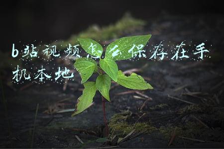 b站视频怎么保存在手机本地