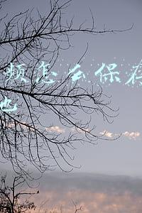 b站视频怎么保存在手机本地