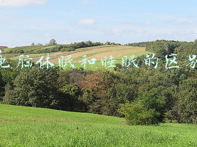 电脑休眠和睡眠的区别