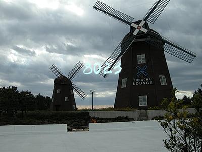 8023
