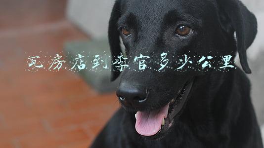 瓦房店市李官镇人民政府_瓦房店市李官镇