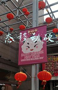 固态移动硬盘