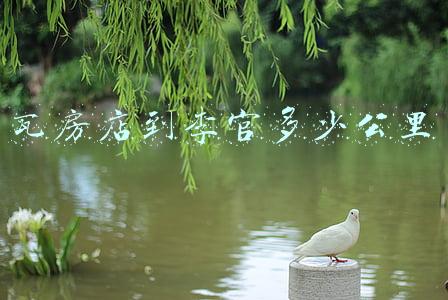 瓦房店李官温泉排名；瓦房店李官温泉哪家好