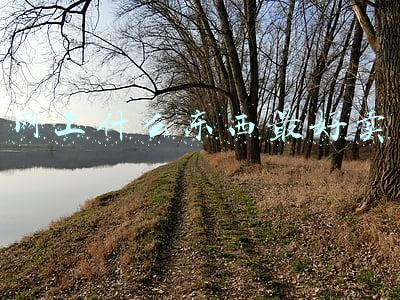 现在网上卖什么最火(一天5000单，浙江老板直播卖它爆火！价格年年涨，产量年年降，什么情况？)