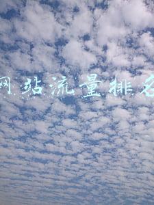 网站流量排名查询(全球网站TOP100：Google访问量最多，百度排名第4)