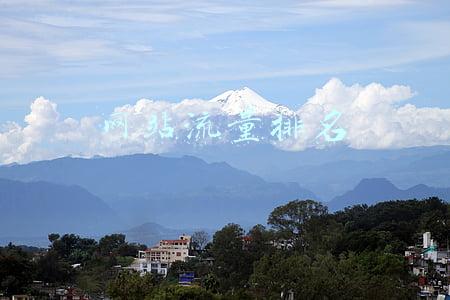 网站流量排名怎么查(流量排名世界前50的网站，你知道几个？)
