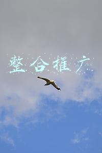 整合推广方案(公关资源网解读5种最常用的裂变营销推广方式)