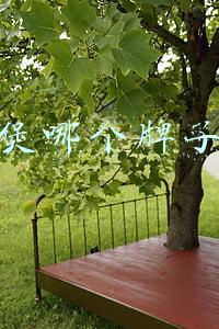 防溢电饭煲哪个牌子的好(康巴赫IH蜂窝钢胆电饭煲测评体验，让生活品质更上一层楼)
