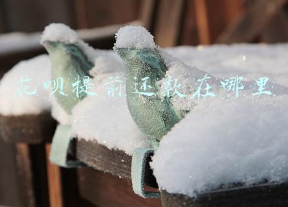 花呗提前还款在哪里