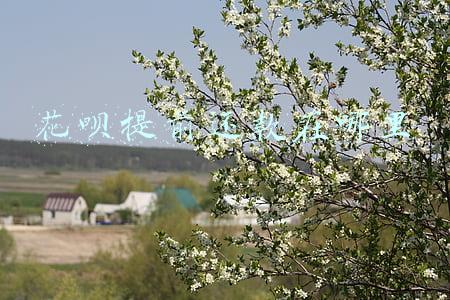 花呗分期提前还款还收手续费么(花呗分期提前还款是否收手续费？看过官方的回答我果断放弃信用卡)