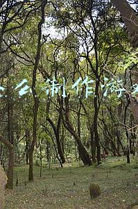 怎么制作游戏短视频(快手怎么录游戏视频？超详细教程)