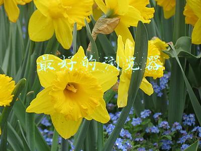 安卓手机最好的浏览器(安卓机上装机率很高的5款浏览器，功能强悍，每款都不带广告推送)