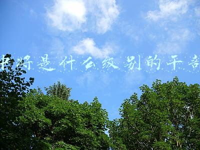 中将是什么级别的干部