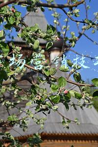 市场营销技巧有哪些(运营人经常用到的28个营销模型)