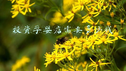 孕婴加盟费多少_孕婴店加盟需要多少钱