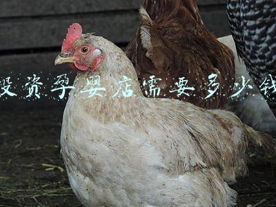母婴用品店加盟费:加盟孕婴店多少钱