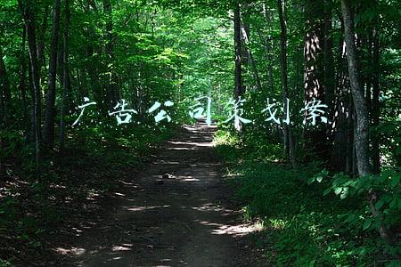 广告公司策划案例(广告狂人叶茂中的冲突人生：从脑白金到傅抱石)