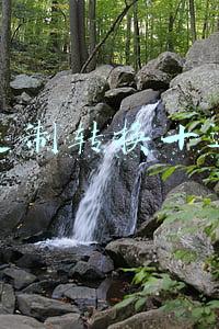 二进制转换十进制