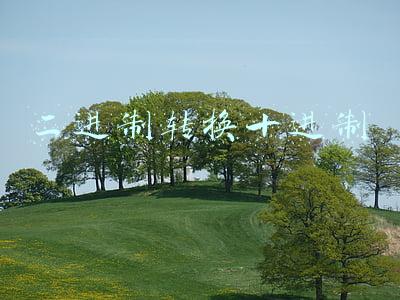 二进制转换十进制公式(1加1在什么情况下等于10？莱布尼茨的二进制就是答案)