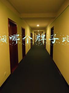 电子烟哪个牌子比较好