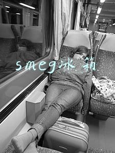 smeg冰箱