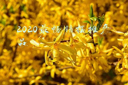 2020最畅销摆摊产品