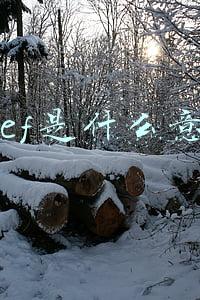 briefcase是什么意思(新概念第一册课文翻译及学习笔记：Lesson1)