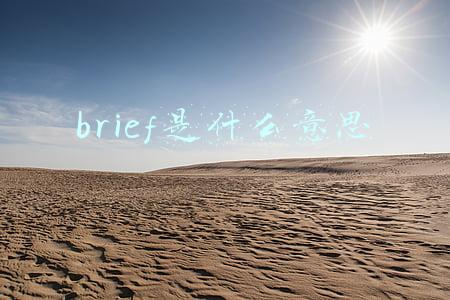brief是什么意思