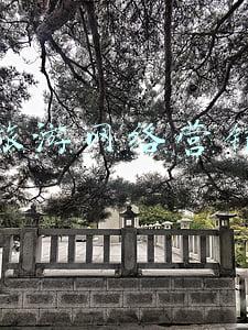 旅游网络营销案例(新融合新开端 同程旅行携手中国国家地理·中华遗产共筑非遗营销新样板)