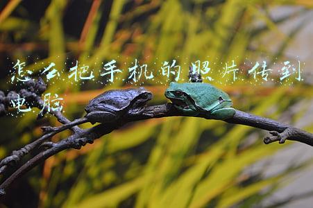 不用数据线怎么把手机的照片传到电脑(没有数据线、无线网络，手机与电脑如何互传文件？试试这一招)