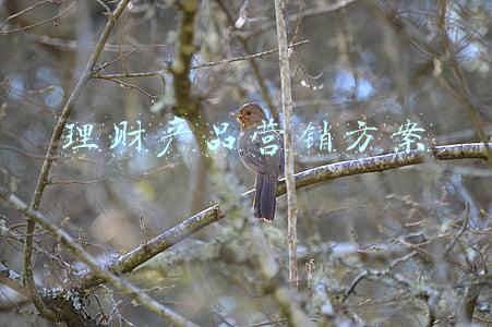 理财产品营销方案范文(一位顶尖理财经理的营销经验分享)