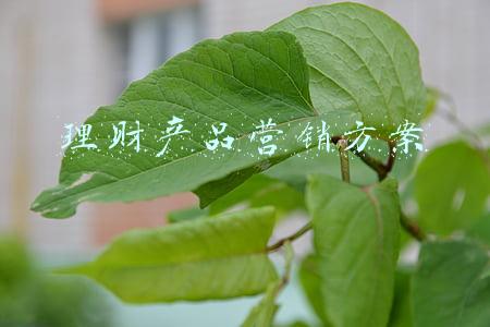 理财产品营销方案
