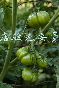 眼镜店验光需要多少钱《眼镜店单独验光多少钱》