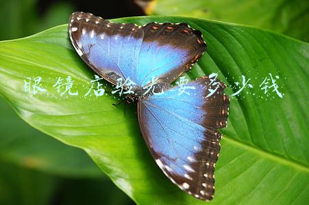 去眼镜店验光要钱吗-眼镜店里面验光要钱么