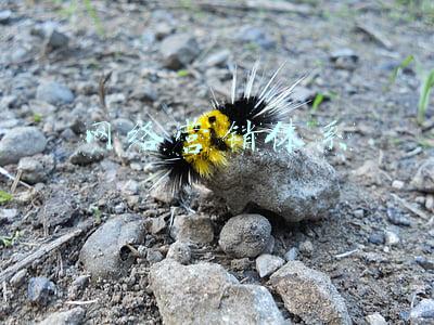 网络营销体系思维导图(营销总监推荐：营销拓客思维导图24式)