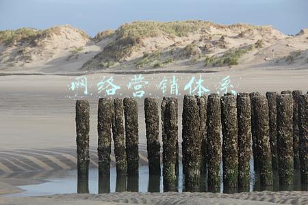 网络营销体系的功能(数字化营销系统那么多，如何判断是否有用？)