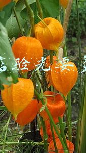 眼镜店验光收费吗，眼镜店验光要收费吗