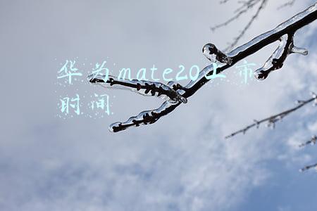 华为mate20上市时间是什么时候(荣耀官宣 X20 手机 8 月 12 日发布)