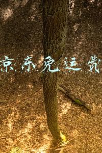 京东免运费技巧(免邮标法则)