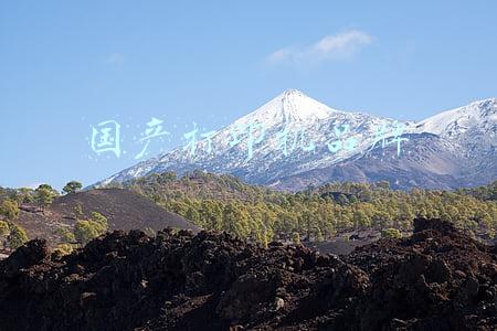 国产打印机品牌