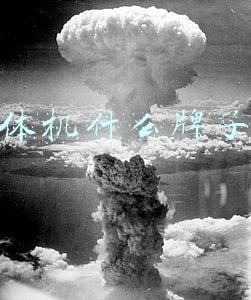中控大屏导航一体机什么牌子好(车载导航十大品牌，车载导航仪哪个品牌好)