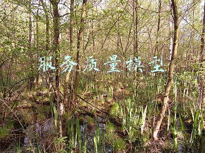 顾客感知服务质量模型(细说满意度模型)